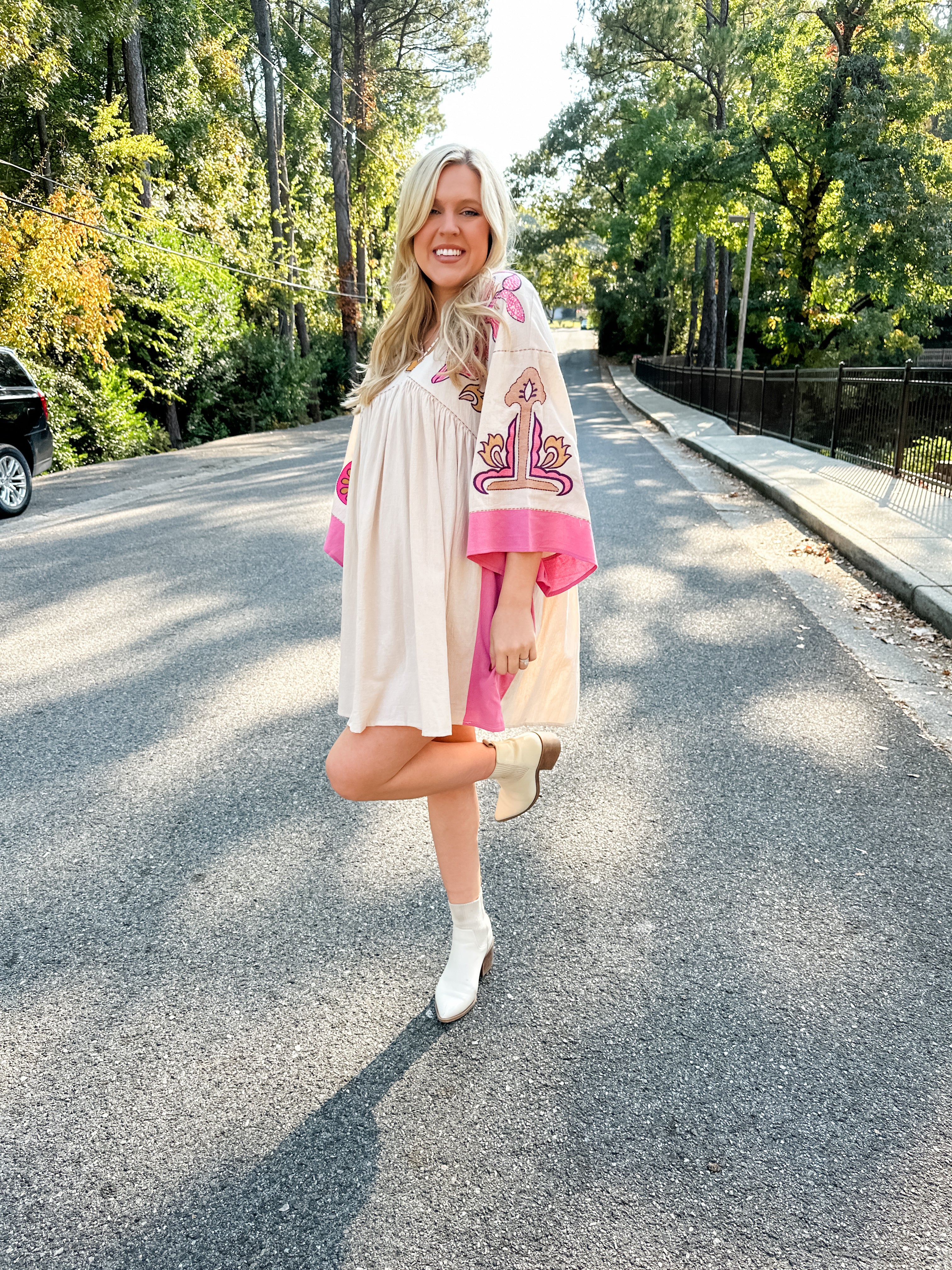 Embroidered V-Neck Dress