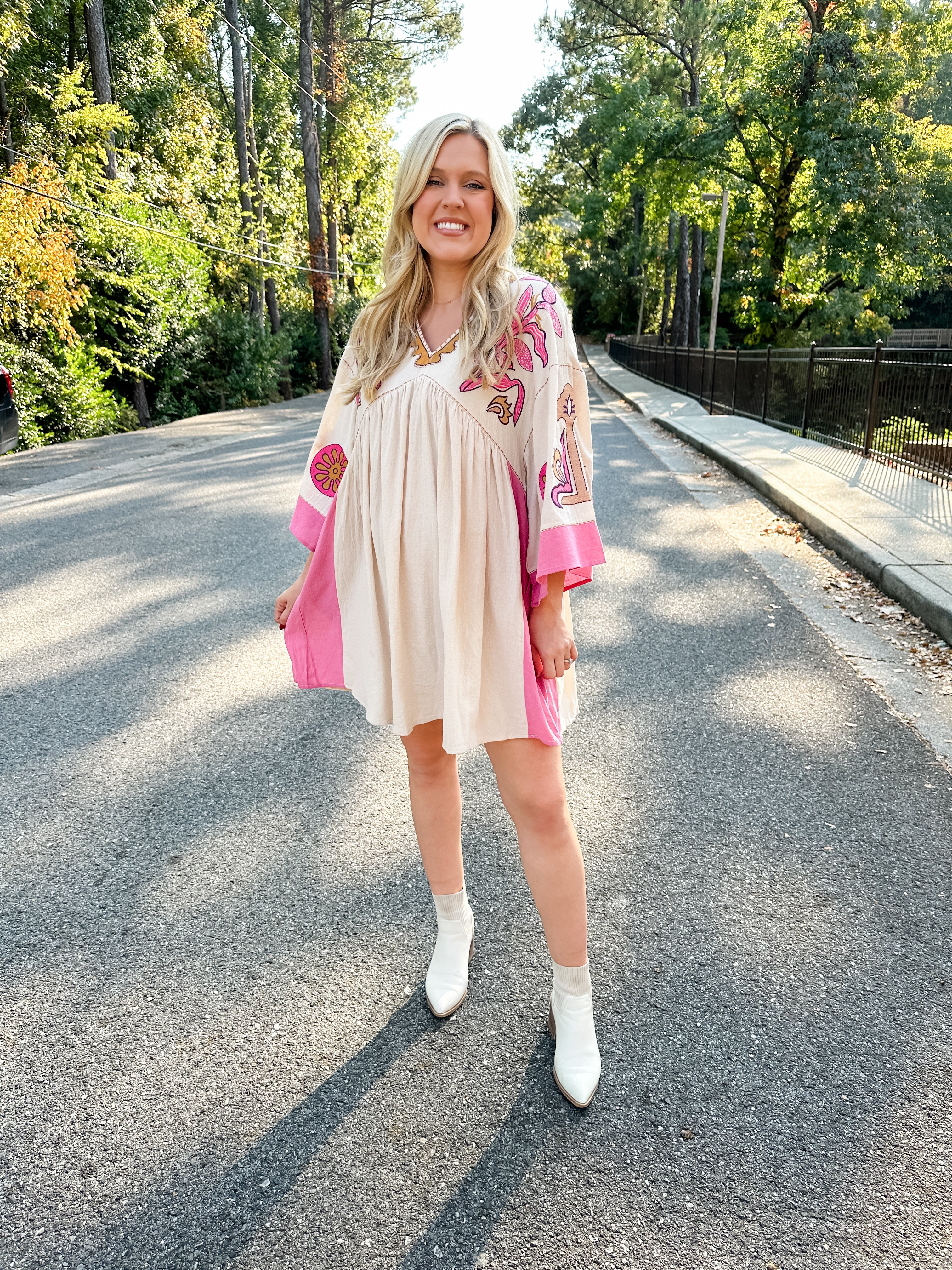 Embroidered V-Neck Dress