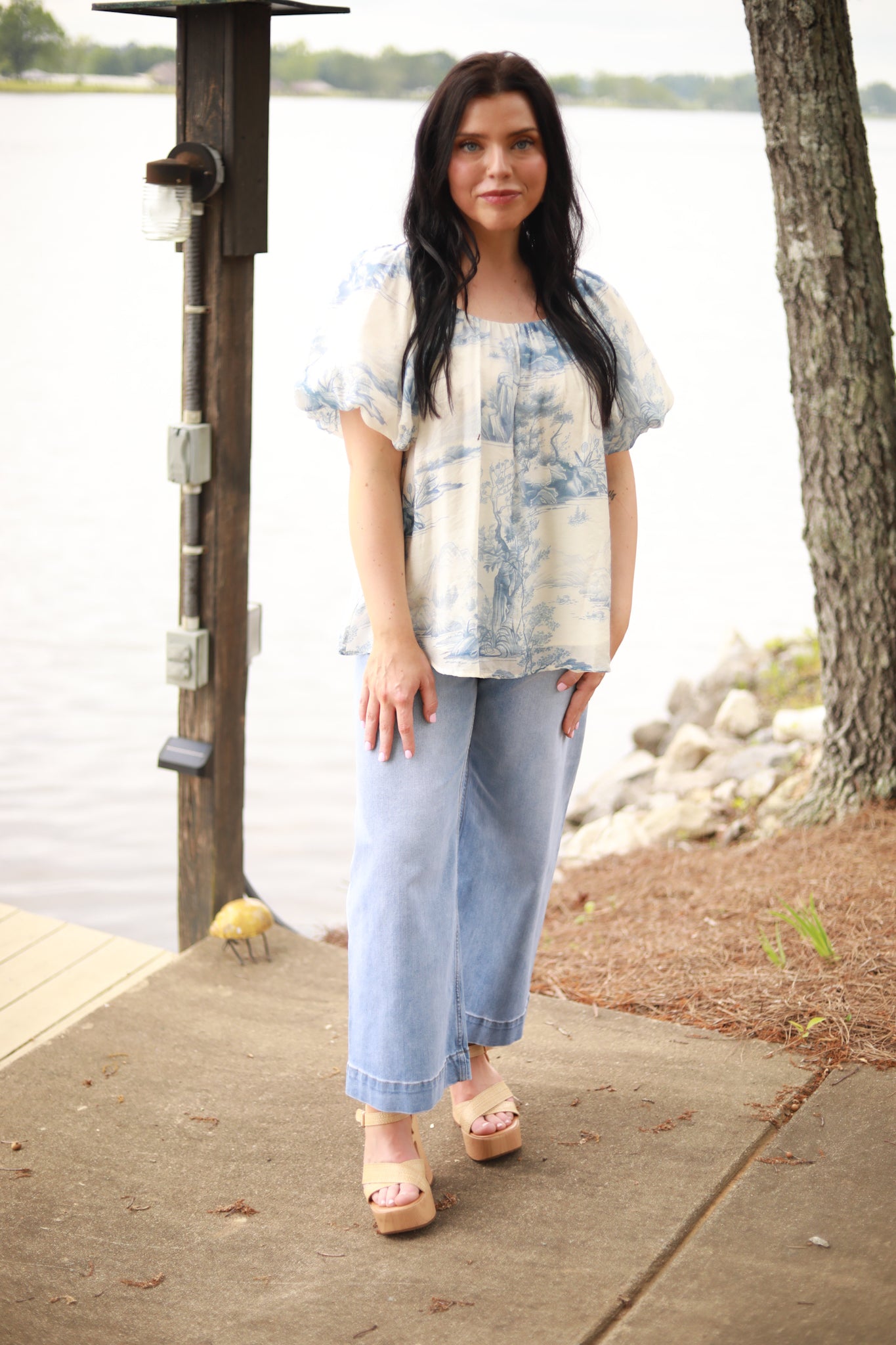 Toile Print Puff Sleeve Top
