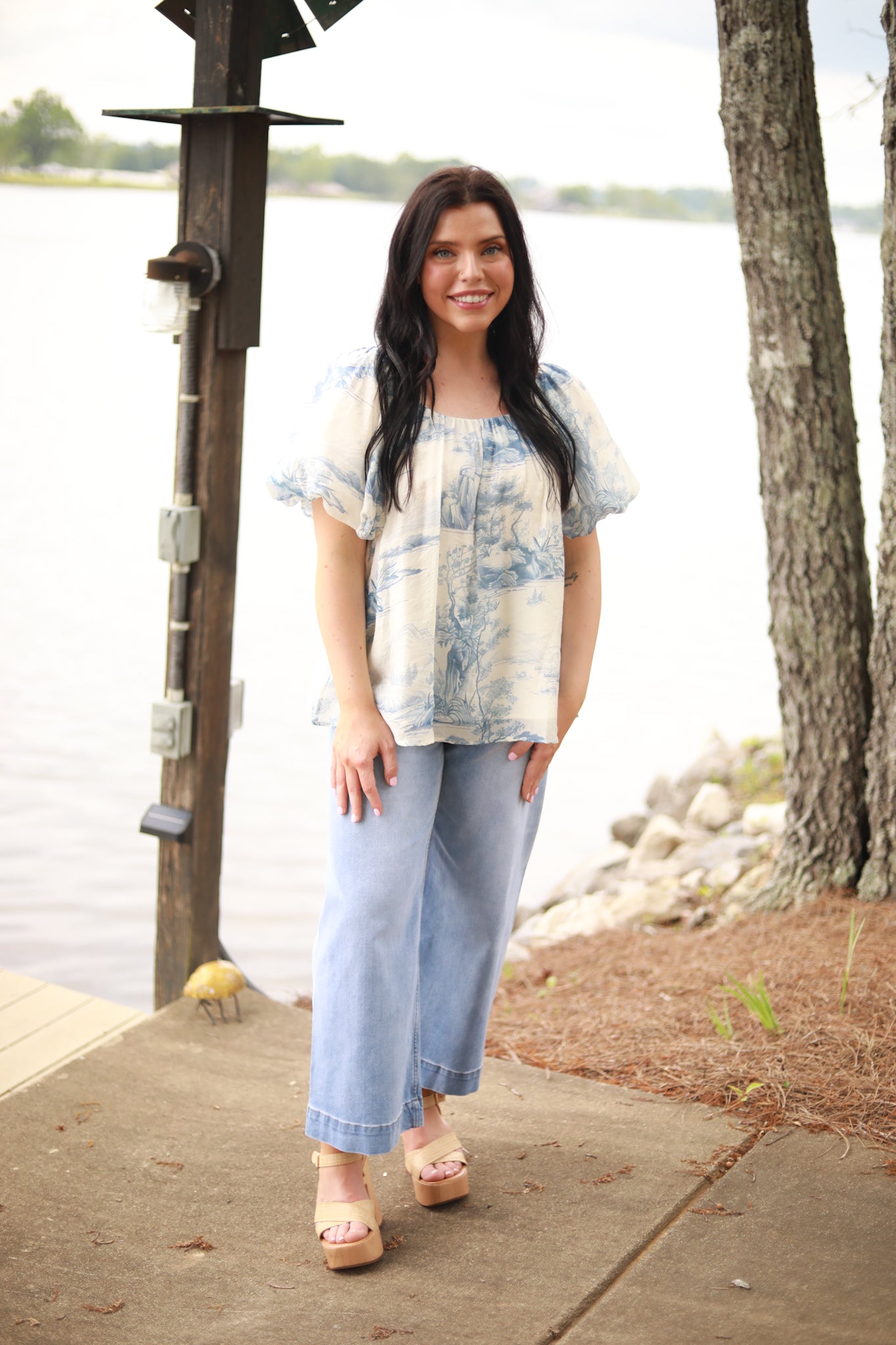 Toile Print Puff Sleeve Top