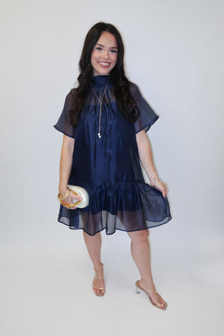 After Sunset Sheer Overlay Tie Neck Mini Dress - The Pink Tulip Clothing
