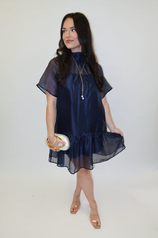 After Sunset Sheer Overlay Tie Neck Mini Dress - The Pink Tulip Clothing