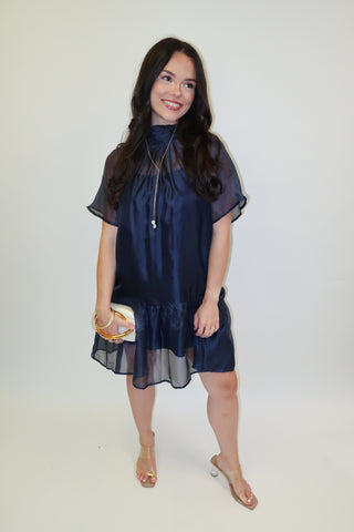After Sunset Sheer Overlay Tie Neck Mini Dress - The Pink Tulip Clothing