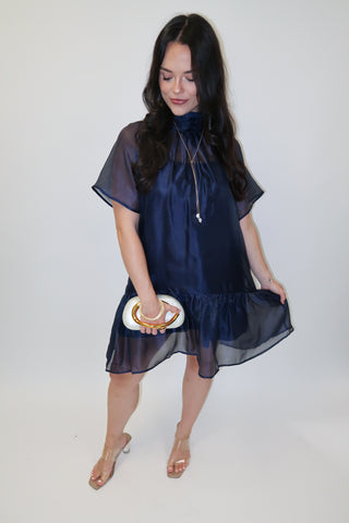 After Sunset Sheer Overlay Tie Neck Mini Dress - The Pink Tulip Clothing