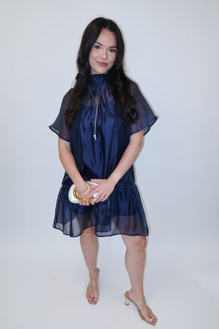 After Sunset Sheer Overlay Tie Neck Mini Dress - The Pink Tulip Clothing