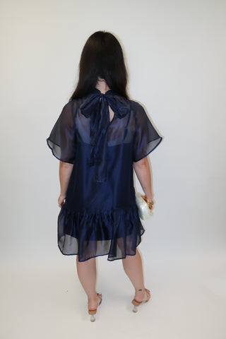 After Sunset Sheer Overlay Tie Neck Mini Dress - The Pink Tulip Clothing