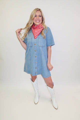Blue Skies Ahead Denim Button Front Shift Dress - The Pink Tulip Clothing