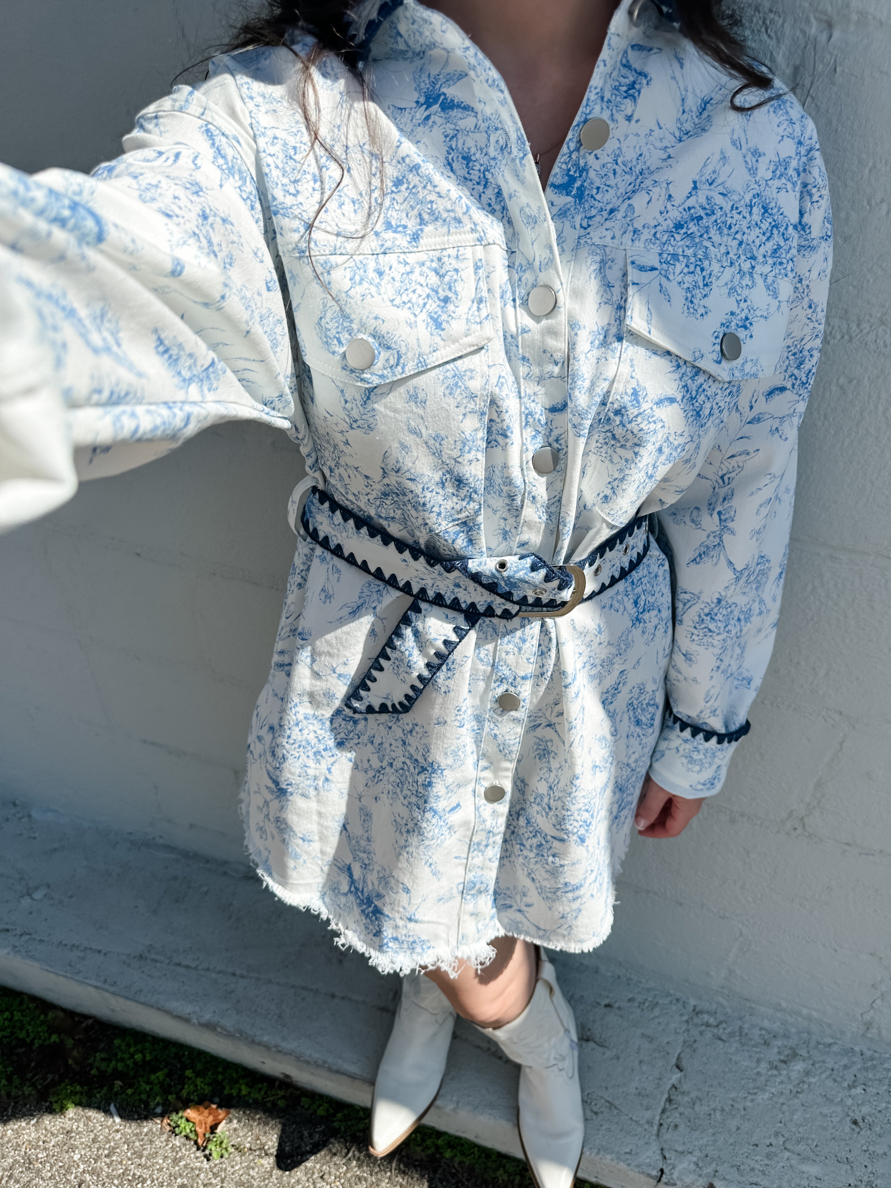 Toile Embroidered Button Down Dress